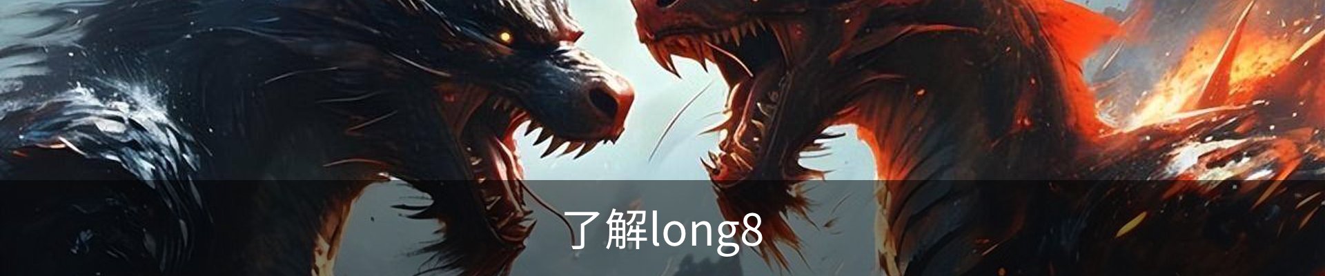 了解long8